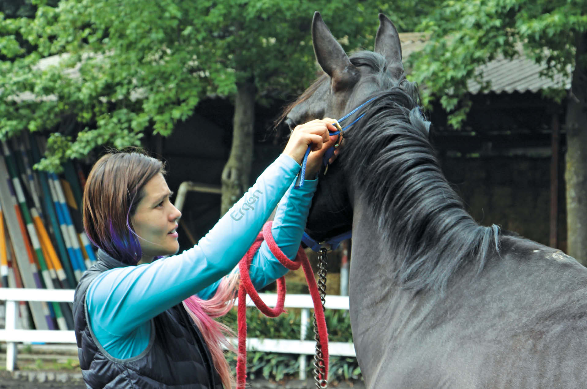 Terapia asistida con caballos, una alternativa Reporte Indigo Terapia asistida con caballos, una alternativa Reporte Indigo
