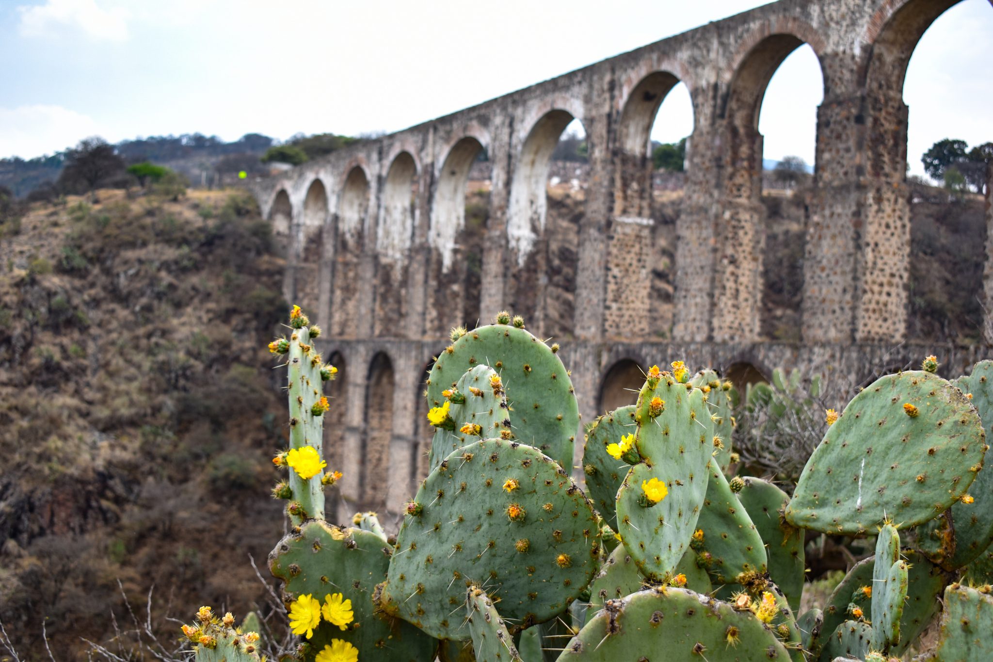 La belleza monumental de Arcos del