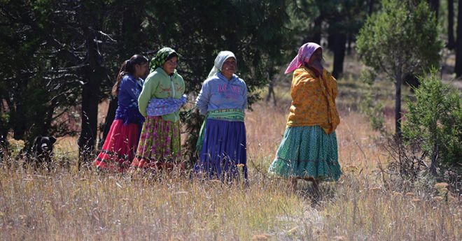 Con la instalación de las cosechas de agua, se espera que en las viviendas de los rarámuris se capten más de 14 millones de litros al año