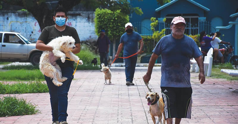 Raúl Lozano propone tipificar el delito de secuestro animal doméstico, mientras que el PRI celebra la aprobación de nuevas sanciones