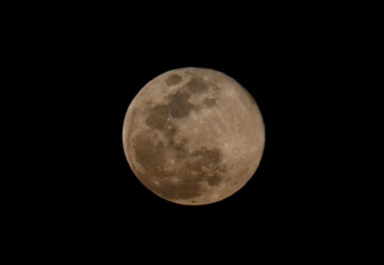 La primer Luna Llena de Lobo tiene lugar a fines de enero y su denominación está influenciada por el invierno en el hemisferio norte, donde el invierno es la estación en la que los lobos suelen salir en manada a cazar para mantenerse activos, al ser una especie que no hiberna. FOTO: GRACIELA LÓPEZ /CUARTOSCURO.COM